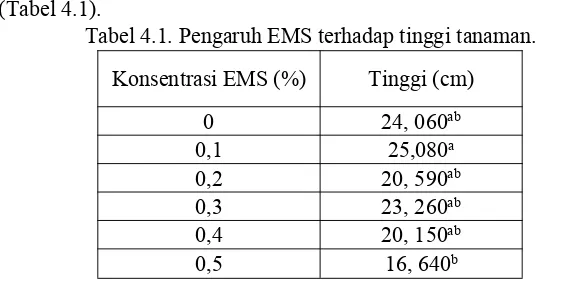 Tabel 4.1. Pengaruh EMS terhadap tinggi tanaman.