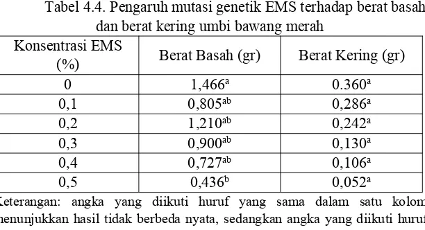 Tabel 4.4. Pengaruh mutasi genetik EMS terhadap berat basah
