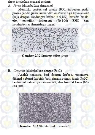 Gambar 2.12 Struktur mikro ferrit 