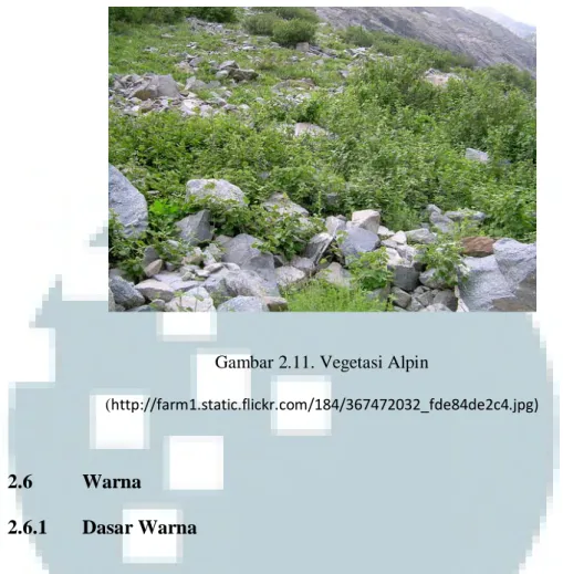 Gambar 2.11. Vegetasi Alpin 