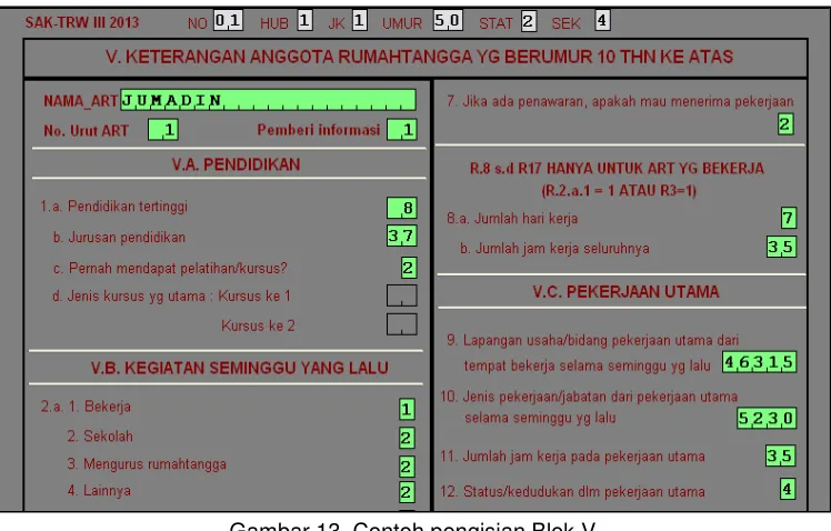 Gambar 13. Contoh pengisian Blok V 