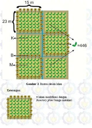 Gambar 3. Ilustrasi desain lahan 