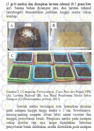 Gambar 3.2 Campuran Vermicompos, Coco Peat dan Pupuk NPK 