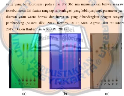 Gambar 7. (a) Hasil uji KLT menggunakan sinar UV 254 nm; (b) Hasil uji KLT 