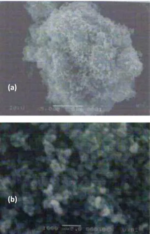 Gambar  4.          Gambaran  SEM  powder  oksida  mangan  hasil  sintesis  pada  suhu  120  o C  dengan  pembesaran  10.000x (a), 20.000x (b) Intensiitas(a,u) 2θ (o) Intensiitas(a) (b) 