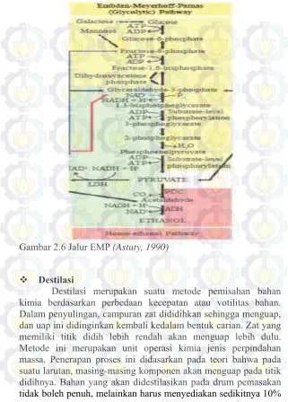 Gambar 2.6 Jalur EMP (Astuty, 1990) 