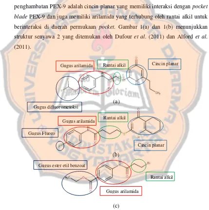 Gambar 1. Struktur senyawa dan farmakofor penting (a) senyawa 2 (Dufour et al. 