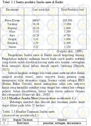 Tabel  2.2 Sentra produksi Jambu mete di Kediri  