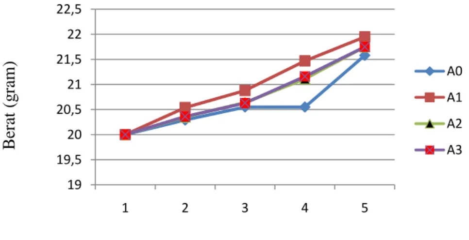Grafik 2. Pertumbuhan Berat Mutlak Lele Dumbo (Clarias gariepinus)  Selama Pemeliharaan