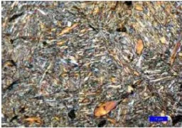 Gambar 2. 3 Struktur mikro martensite dari baja pegas [9] 