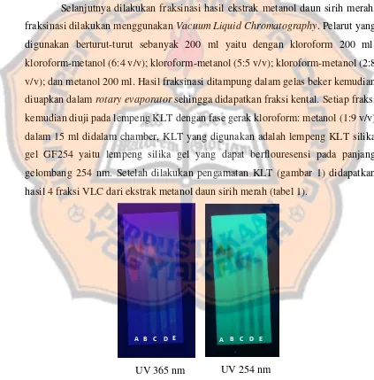 Gambar 1. Profil KLT hasil fraksi VLC ekstrak metanol daun sirih merah 