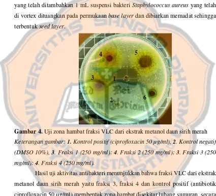Gambar 4. Uji zona hambat fraksi VLC dari ekstrak metanol daun sirih merah 
