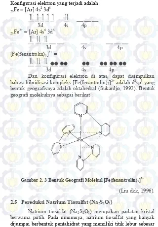 Gambar 2. 3 Bentuk Geografi Molekul [Fe(fenantrolin)3]2+ 