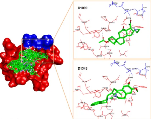 Fig 1. Docked conformation of top 24 NCI compounds in the active pocket of DENV-2 NS2B/NS3pro