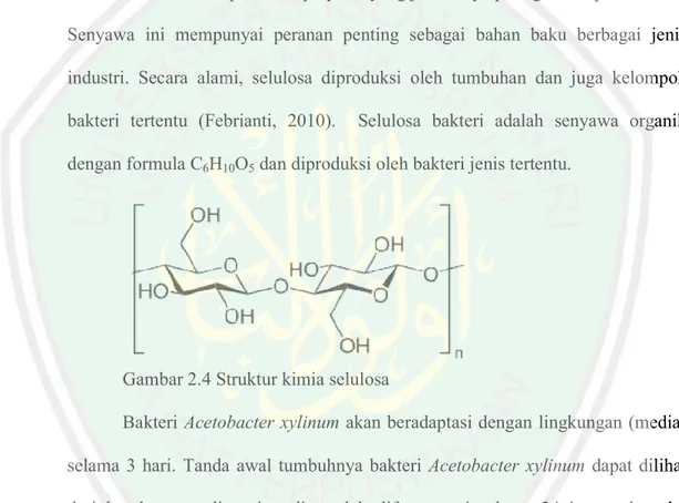 Gambar 2.4 Struktur kimia selulosa Bakteri Acetobacter xylinum