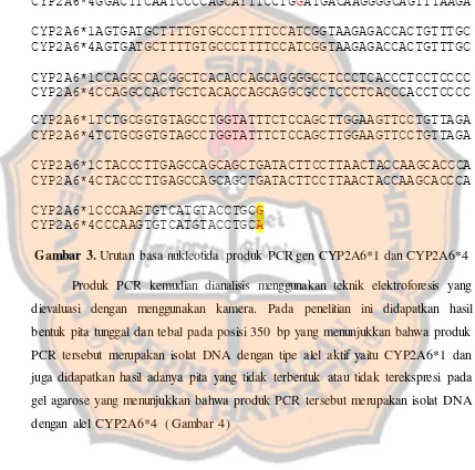 Gambar 3. Urutan basa nukleotida produk PCR gen CYP2A6*1 dan CYP2A6*4  