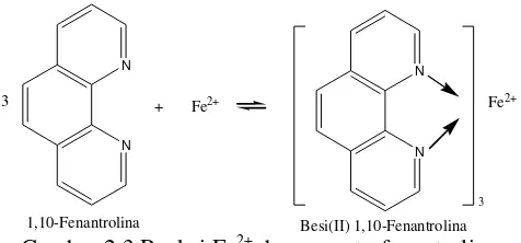 Gambar 2.3 Reaksi Fe2+ dengan orto-fenantrolina 