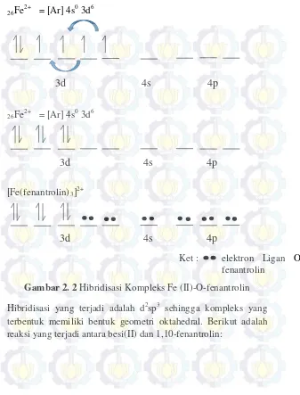 Gambar 2. 2 Hibridisasi Kompleks Fe (II)-O-fenantrolin 