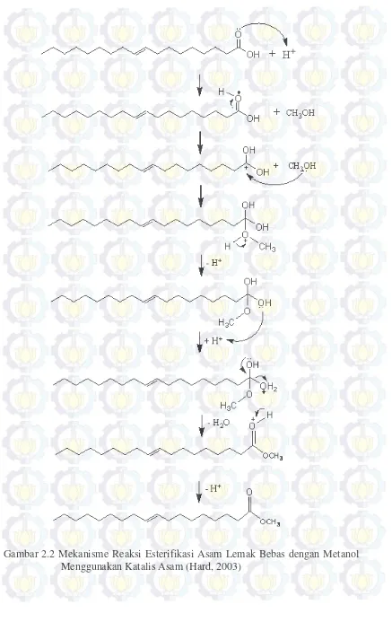 Gambar 2.2 Mekanisme Reaksi Esterifikasi Asam Lemak Bebas dengan Metanol 