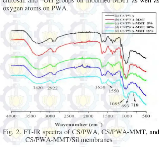 Fig. 2. FT-IR spectra of CS/PWA, CS/PWA-MMT, and 