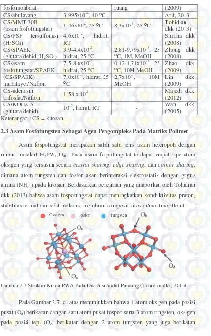 Gambar 2.7 Struktur Kimia PWA Pada Dua Sisi Sudut Pandang (Tohidian dkk, 2013). 