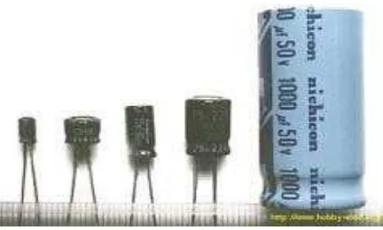 Gambar 2.8 Electrolytic Capacitor (ELCO) 
