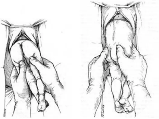 Gambar 2.3 Langkah 7 