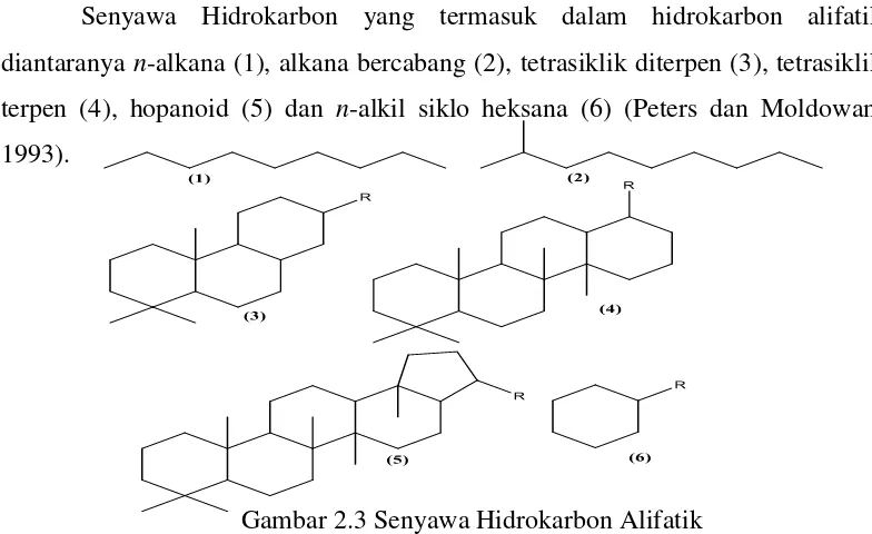 Gambar 2.3 Senyawa Hidrokarbon Alifatik 
