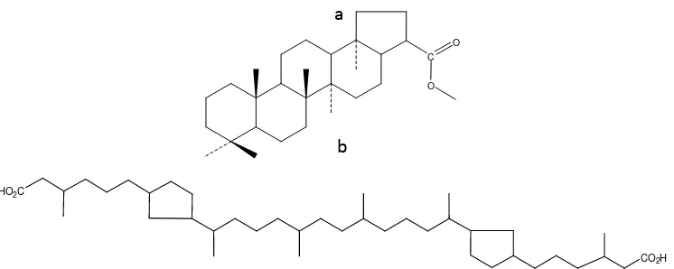 Gambar 2.5.  Struktur biomarka asam yang berasal dari bakteri (a) asam hopanoid hasil degradasi lipid berupa metil-hopanoid, (b) asam berupa isoprenoid (Burhan dkk., 2002)