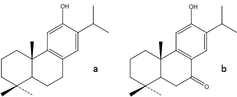 Gambar 2.6.  Struktur biomarka alkohol (a) feruginol dan sugiol (Stefanova dan Simoneit, 2008) 