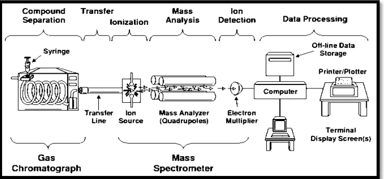 Gambar 2.7.  Skema sistem kerja KG-SM (Peters dkk., 1993) 