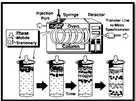 Gambar 2.8. Skema kromatografi gas (Peters dkk., 1993) 