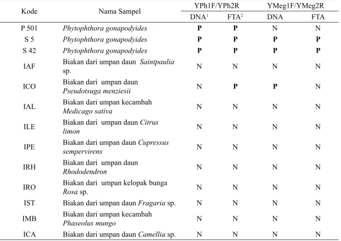 Tabel 6.  Amplifikasi PCR sampel biakan menggunakan primer spesifik genus dan spesies (lanjutan)