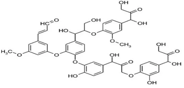 Gambar 2.5 Struktur lignin 
