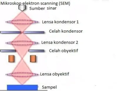 Gambar 2.12 Skema prinsip kerja Mikroskop Electron Scanning (SEM)