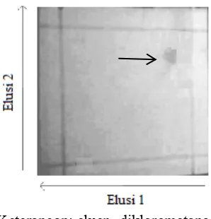 Gambar 4.1 Hasil pemantauan menggunakan KLT sintesis 3-metil-2-buten-1-il asetat (6) tanpa basa  