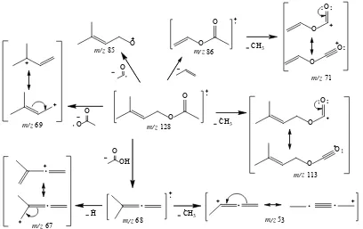 Gambar 4.9 Pola fragmentasi 3-metil-2-buten-1-il asetat (6) hasil sintesis 