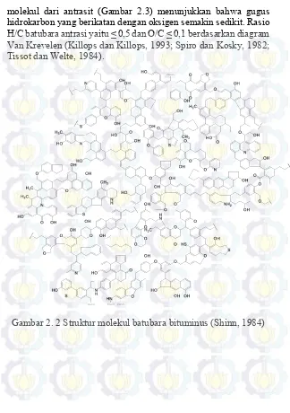 Gambar 2. 2 Struktur molekul batubara bituminus (Shinn, 1984) 