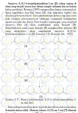 Gambar 2. 6 Reaksi pembentukan 6,10,14-trimetilpentadekan-2-