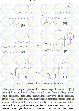 Gambar 2. 9 Reaksi oksidasi senyawa fridelan 
