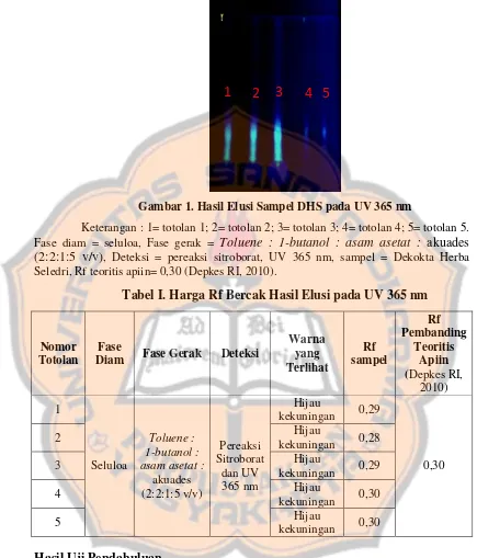 Gambar 1. Hasil Elusi Sampel DHS pada UV 365 nm 