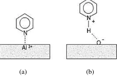 Gambar 2.8 Skema interaksi piridin dengan (a) asam Lewis (b) asam  Brønsted   