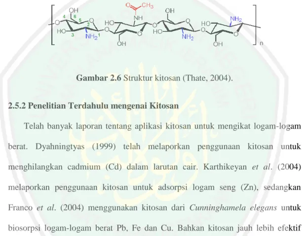 Gambar 2.6 Struktur kitosan (Thate, 2004). 