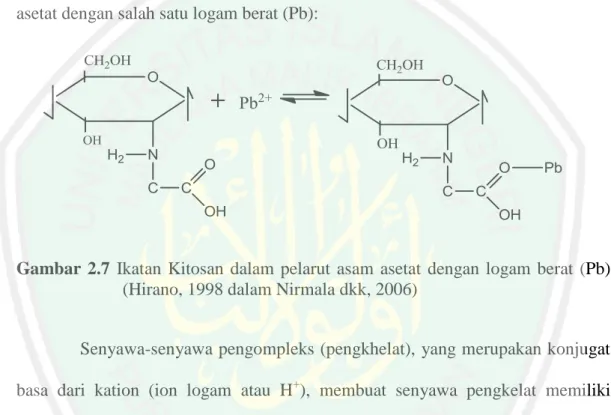 Gambar  2.7  Ikatan  Kitosan  dalam  pelarut  asam  asetat  dengan  logam  berat  (Pb)  (Hirano, 1998 dalam Nirmala dkk, 2006) 