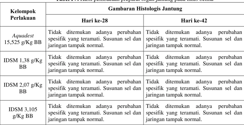 Gambar 1. Preparat organ jantung pada jantan dosis infusa daun sirih merah 3.105 g/KgBB dengan perbesaran 400x,  tanda anak panah menunjukkan daerah interstitial 