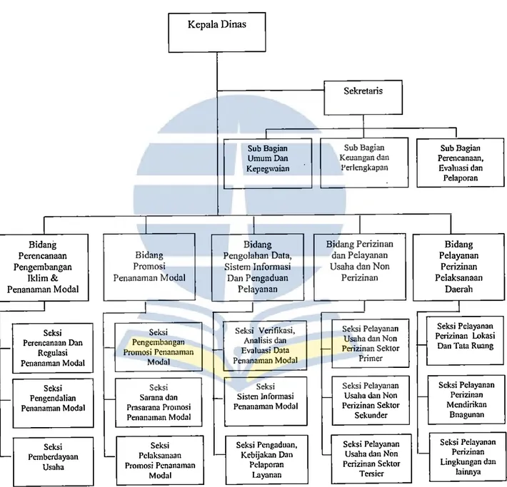 Gambar 3.1  Struktur Organisasi Dinas Pcnanaman Modal dan PTSP  Kabupaten lndragiri Hilir 