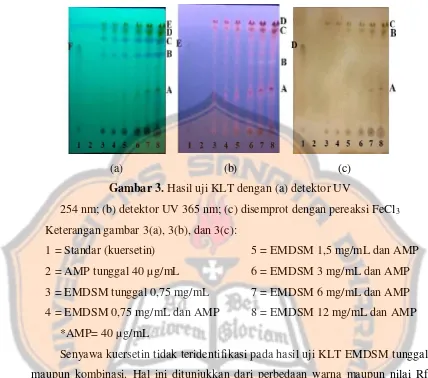 Gambar 3. Hasil uji KLT dengan (a) detektor UV  