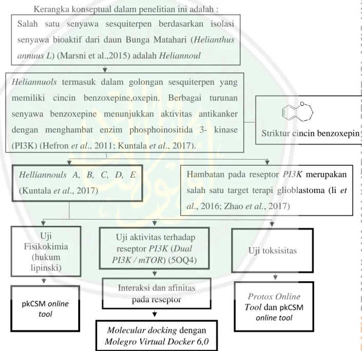 Gambar 3.1 Bagan Kerangka Konsep Salah  satu  senyawa  sesquiterpen  berdasarkan  isolasi senyawa  bioaktif  dari  daun  Bunga  Matahari  (Helianthus annuus L) (Marsni et al.,2015) adalah Heliannoul 