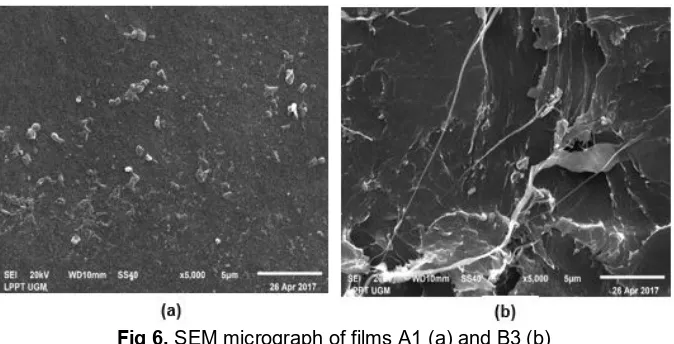 Fig 6. SEM micrograph of films A1 (a) and B3 (b)