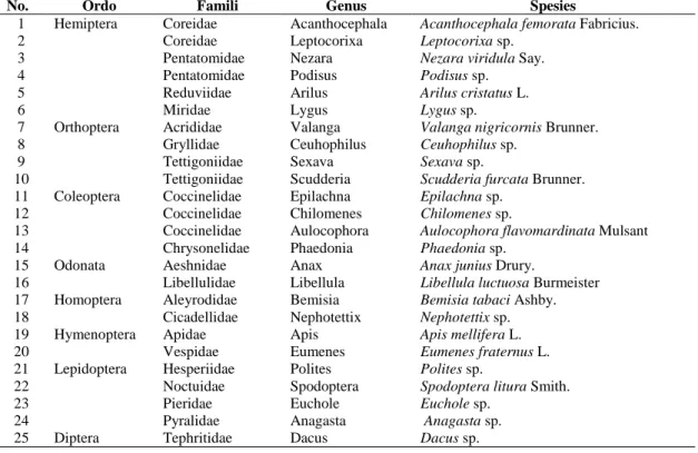 Tabel  1.  Serangga-serangga    yang  didapatkan  pada  tanaman  Cabai  merah               (Capsicum annuum L.),selama 8 minggu